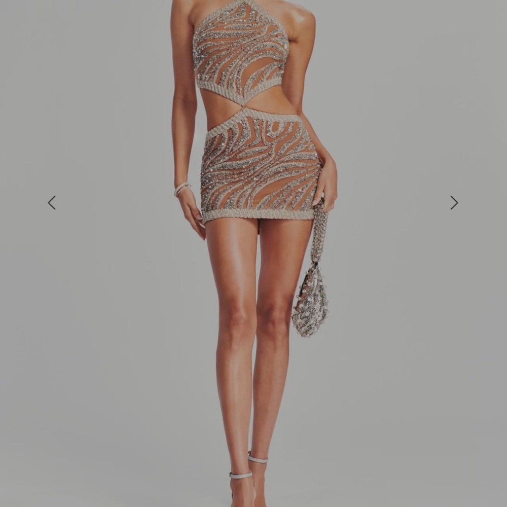 Retrofete Tan and Silver Mini Dress